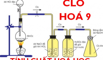 Tính chất hoá học của Clo (Cl), ví dụ và bài tập về Clo - Hoá lớp 9 bài 26